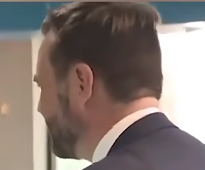 A close-up of the back of JD Vance's head. I don't know if this caption can do it justice. The back is close-cropped, and then on top there is just this...random spill of hair. Like a very flat Pekinese dog is hiding on his head and peeking out just a teensy bit..